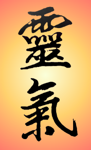 formation reiki 1, vittel, vosges, 88, delphine jacquotte