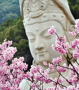 formation, reiki, karuna, Vittel, certificat